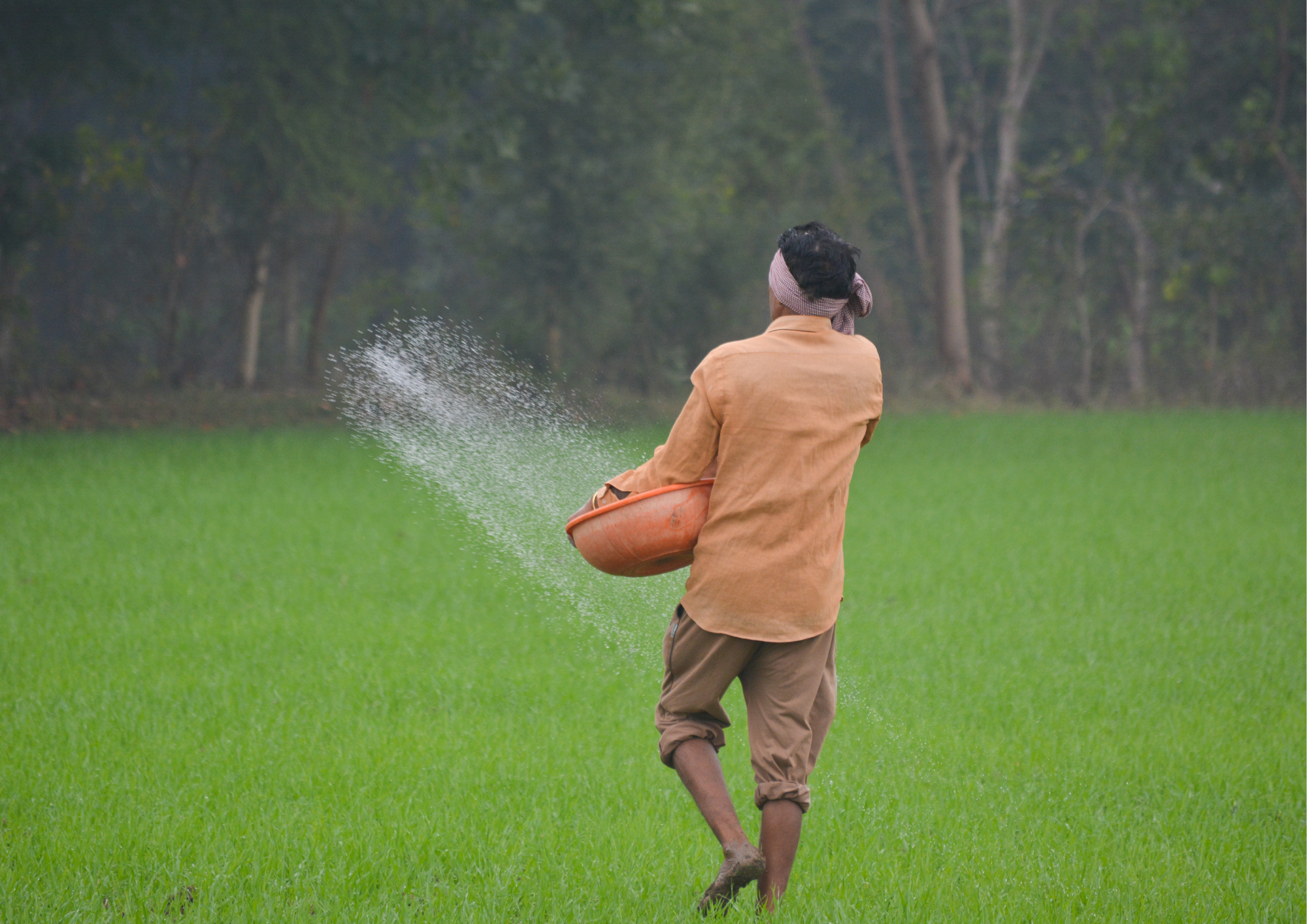 Cabinet Greenlights Massive Subsidy Boost for P&K Fertilizers