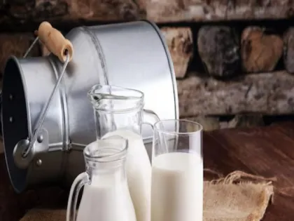 India's Milk Production Vision